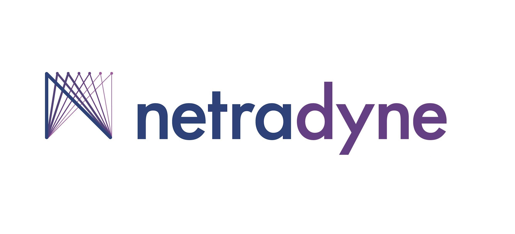 NetraDyne Logo - Inventus Law